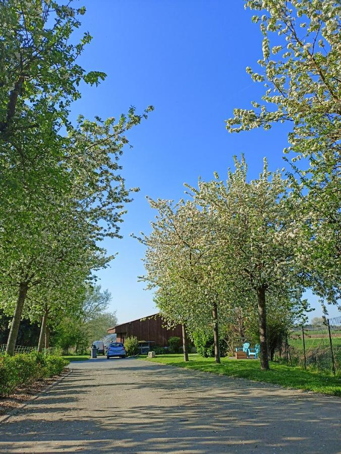 Les Chambres D'Hotes Du Vert Galant " L'Allee Des Champs" Verlinghem Exterior photo